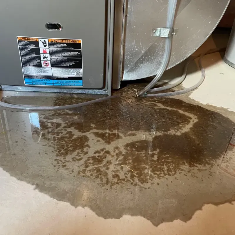 Appliance Leak Cleanup in Ambridge, PA